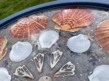 Afbeelding in Gallery-weergave laden, Zeetafel Egmond aan zee