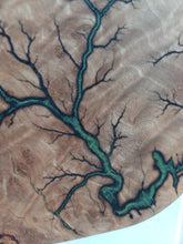 Afbeelding in Gallery-weergave laden, mosgroene takken