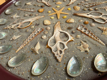 Afbeelding in Gallery-weergave laden, Sandy Beach Abalone Shell | Metalen bijzettafel