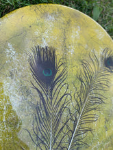 Afbeelding in Gallery-weergave laden, Mr. Peacock Yellow/Green