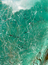 Afbeelding in Gallery-weergave laden, Mr. Peacock green