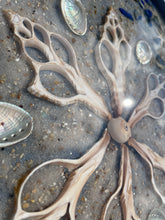 Afbeelding in Gallery-weergave laden, Zeetafel Bergen aan Zee