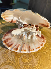 Afbeelding in Gallery-weergave laden, Noch naked miniature world