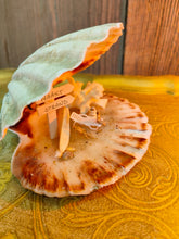 Afbeelding in Gallery-weergave laden, Noch naked miniature world