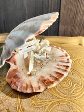 Afbeelding in Gallery-weergave laden, Noch naked miniature world