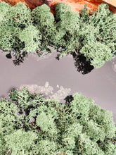 Afbeelding in Gallery-weergave laden, Wooden moss experience by nature