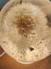 Afbeelding in Gallery-weergave laden, Eeuwige Bloem