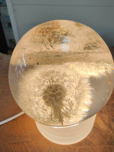 Afbeelding in Gallery-weergave laden, Eeuwige Bloem