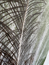 Afbeelding in Gallery-weergave laden, Peacock Featherdream