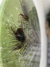 Afbeelding in Gallery-weergave laden, Peacock Featherdream
