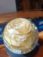 Afbeelding in Gallery-weergave laden, Eeuwige Bloem