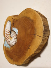 Afbeelding in Gallery-weergave laden, Sea Shell | Houten wandplankje