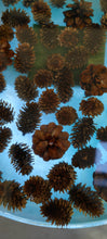 Afbeelding in Gallery-weergave laden, Epoxytable Pinecone