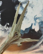 Afbeelding in Gallery-weergave laden, Lichtenberg Classic Wood Lamp