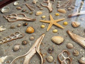 Sandy Beach Abalone Shell | Metalen bijzettafel