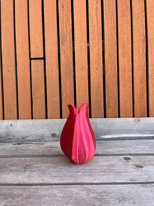 Tulpvaas 3D geprinte vaas rood kameleon S