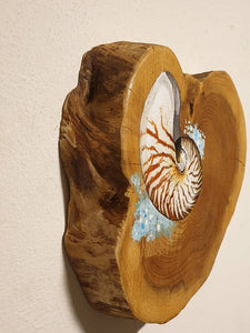 Sea Shell | Houten wandplankje