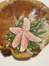 Afbeelding in Gallery-weergave laden, Starfish | Houten wandplankje

