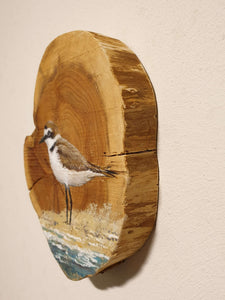 Little bird | Houten wandplankje