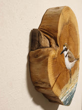 Afbeelding in Gallery-weergave laden, Little bird | Houten wandplankje
