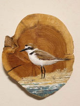 Afbeelding in Gallery-weergave laden, Little bird | Houten wandplankje
